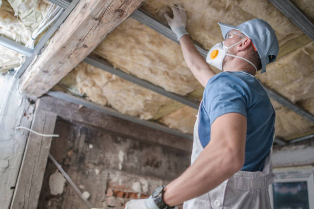 Best Cellulose Insulation  in Canyonville, OR