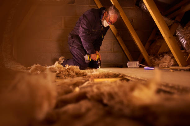 Best Wall Insulation Contractor  in Canyonville, OR
